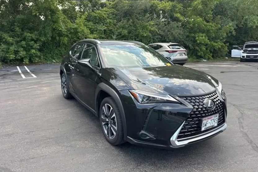 2024 Lexus UX 250h photo 1