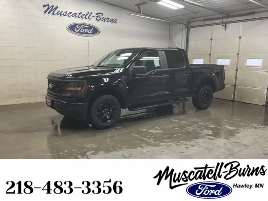 2025 Ford F-150 STX photo 1