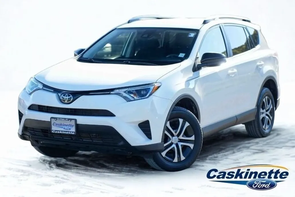 2018 Toyota RAV4 LE photo 1