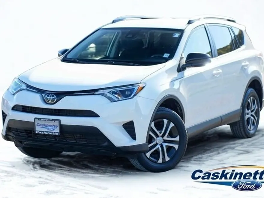 2018 Toyota RAV4 LE photo 1