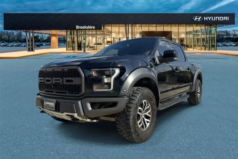 2018 Ford F-150 Raptor photo 1