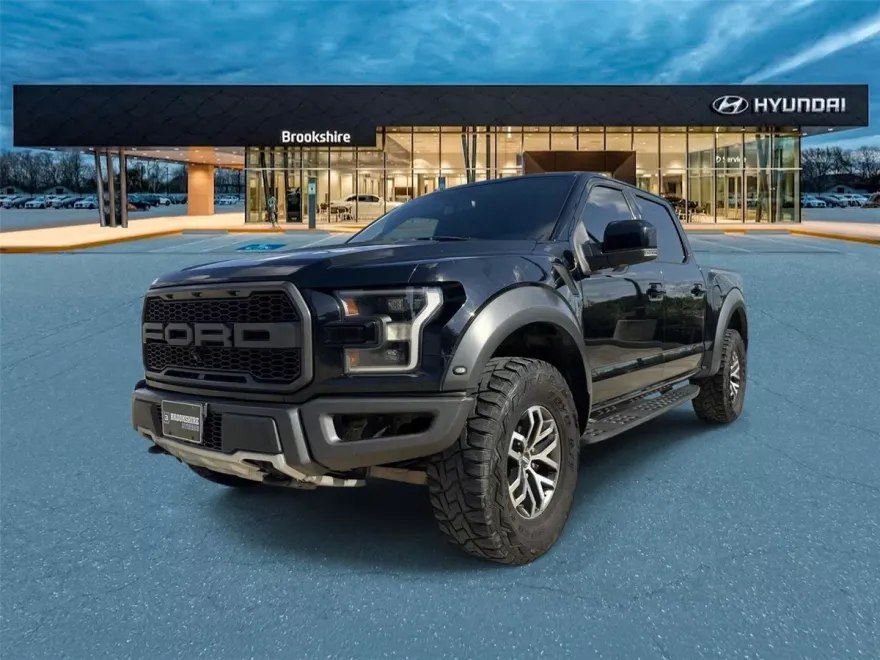 2018 Ford F-150 Raptor photo 1