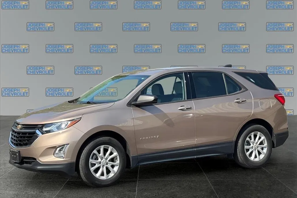 2019 Chevrolet Equinox LS photo 1