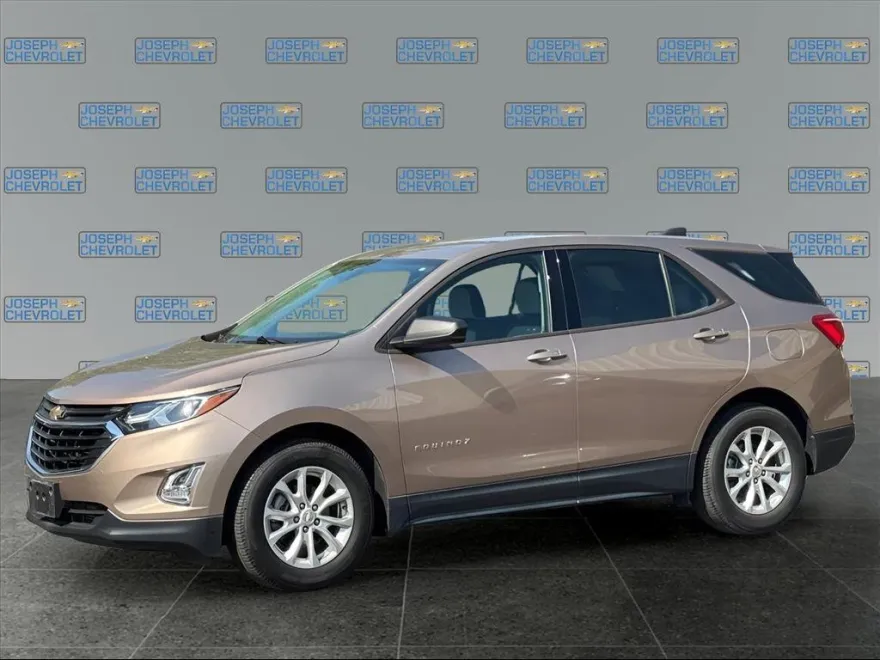 2019 Chevrolet Equinox LS photo 1