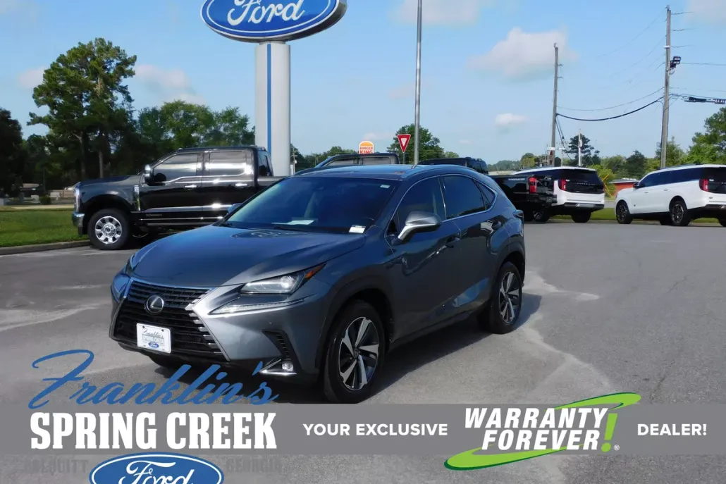 2018 Lexus NX 300 Luxury photo 1