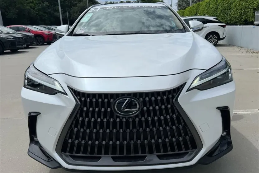 2024 Lexus NX 250 photo 1