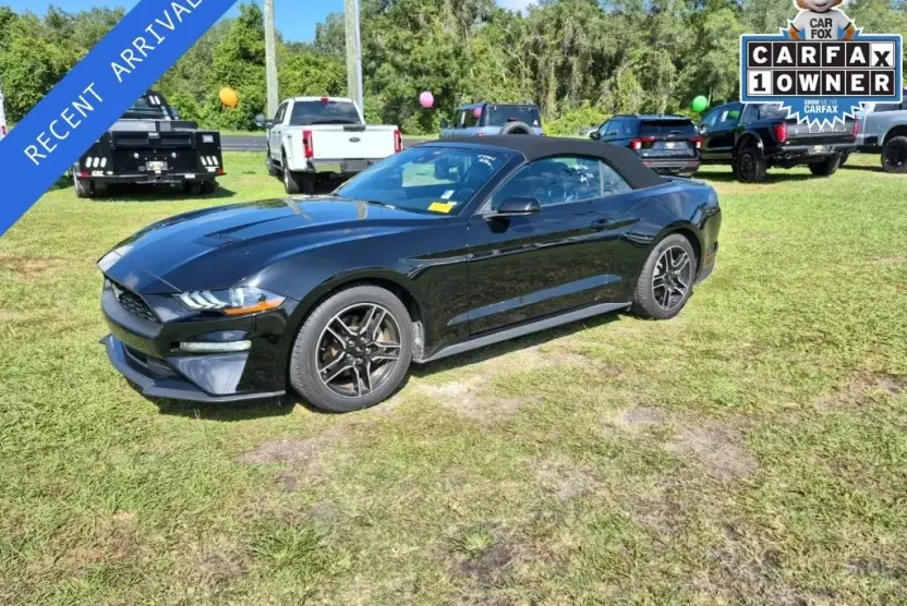 2023 Ford Mustang EcoBoost Premium photo 1
