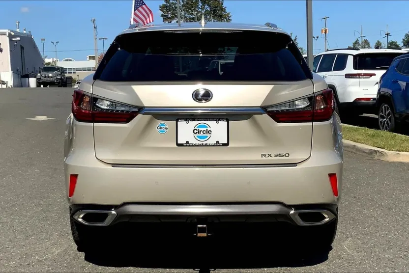2019 Lexus RX 350 photo 1