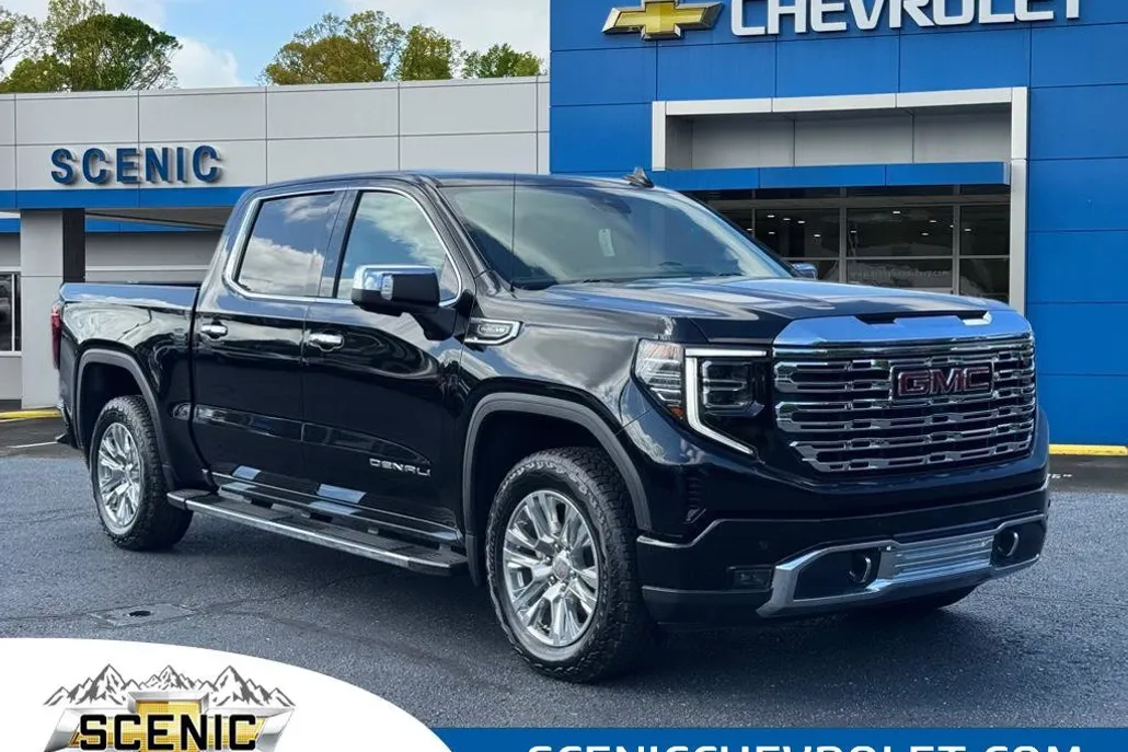 2024 Gmc Sierra 1500 Denali photo 1