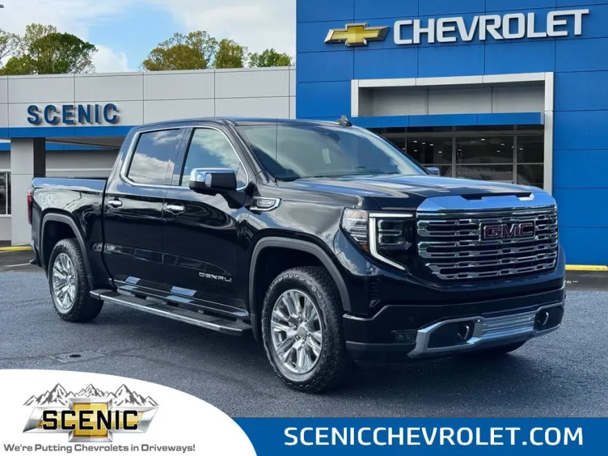 2024 Gmc Sierra 1500 Denali photo 1