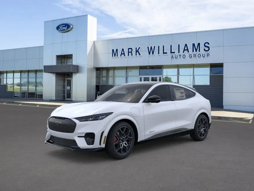 2025 Ford Mustang Mach-E GT photo 1