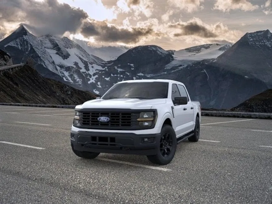 2025 Ford F-150 STX photo 1