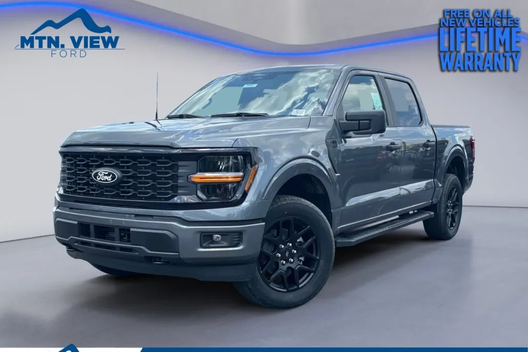 2025 Ford F-150 STX photo 1