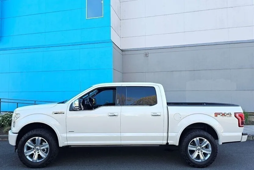 2017 Ford F-150 Platinum photo 1