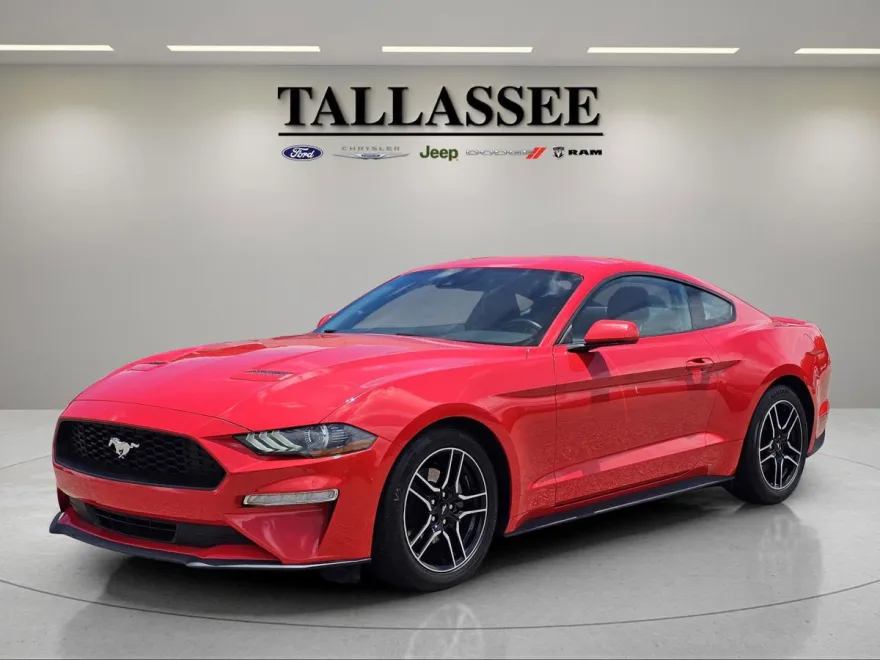 2023 Ford Mustang EcoBoost Premium photo 1