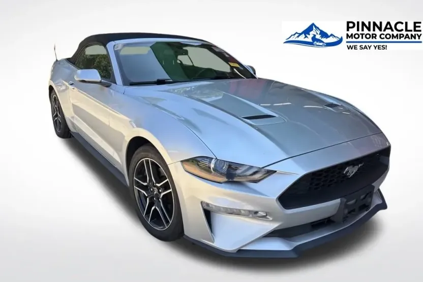 2019 Ford Mustang EcoBoost Premium photo 1