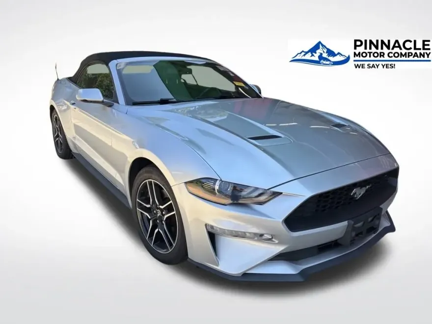2019 Ford Mustang EcoBoost Premium photo 1