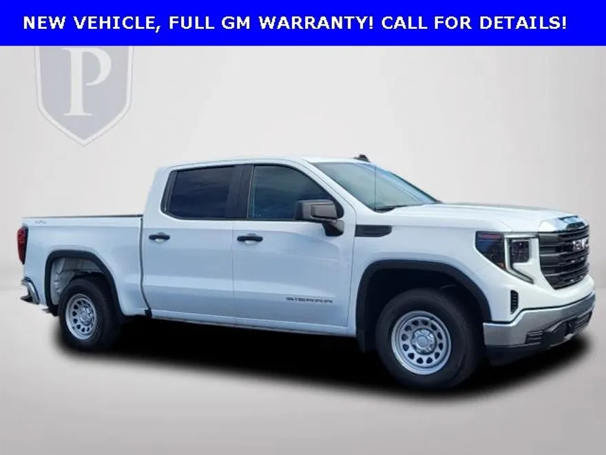 2023 Gmc Sierra 1500 Pro photo 1