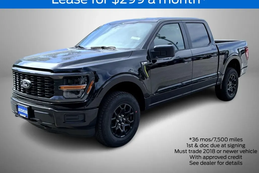 2025 Ford F-150 STX photo 1