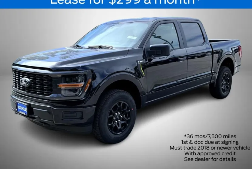2025 Ford F-150 STX photo 1