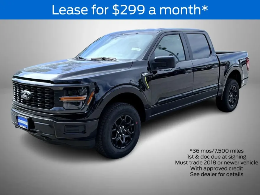 2025 Ford F-150 STX photo 1