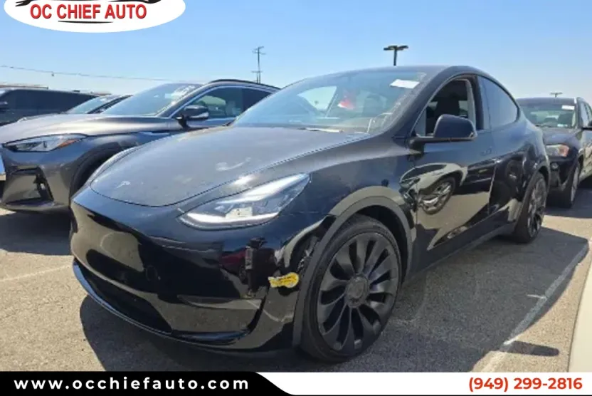 2022 Tesla Model Y Performance photo 1