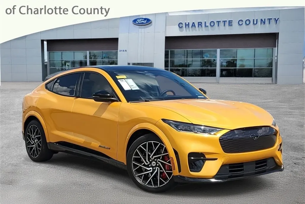 2021 Ford Mustang Mach-E GT photo 1