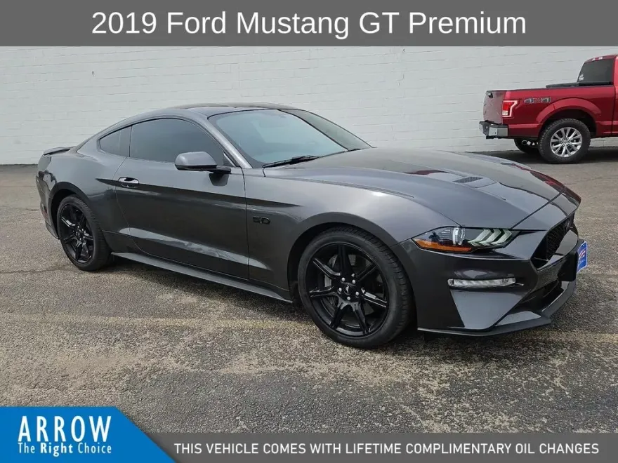 2019 Ford Mustang GT Premium photo 1