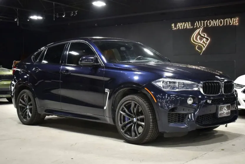 2015 Bmw X6 M photo 1