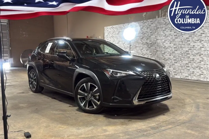 2019 Lexus UX 250h photo 1