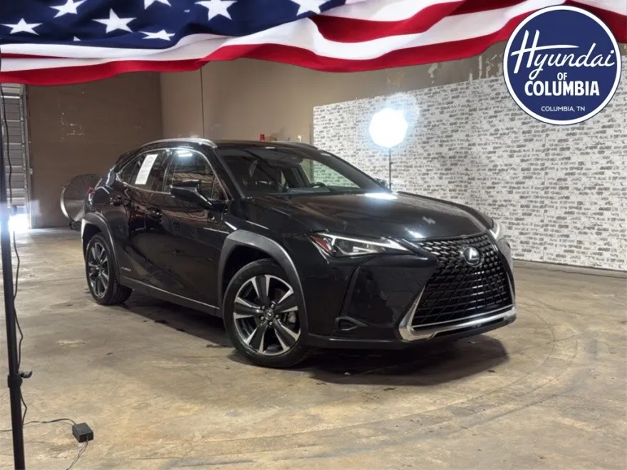 2019 Lexus UX 250h photo 1
