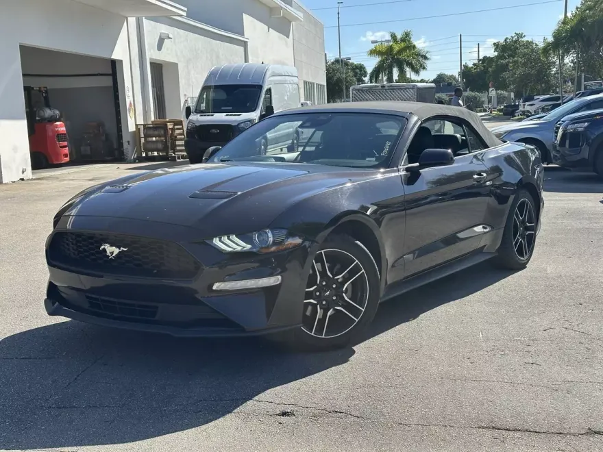 2023 Ford Mustang EcoBoost Premium photo 1