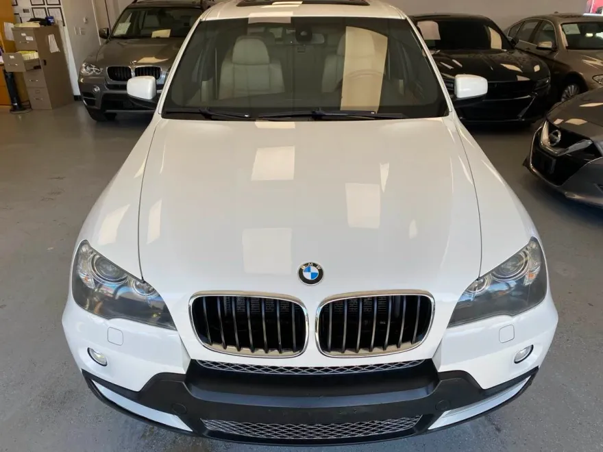 2010 Bmw X5 xDrive30i photo 1