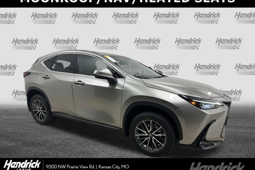 2023 Lexus NX 350h photo 1