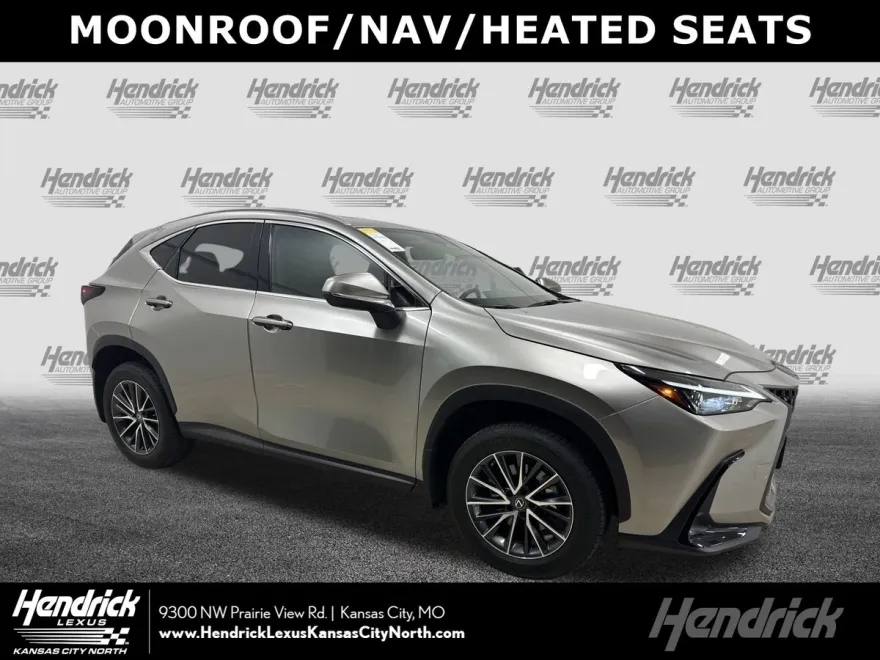 2023 Lexus NX 350h photo 1