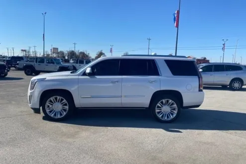 2019 Cadillac Escalade Platinum photo 3