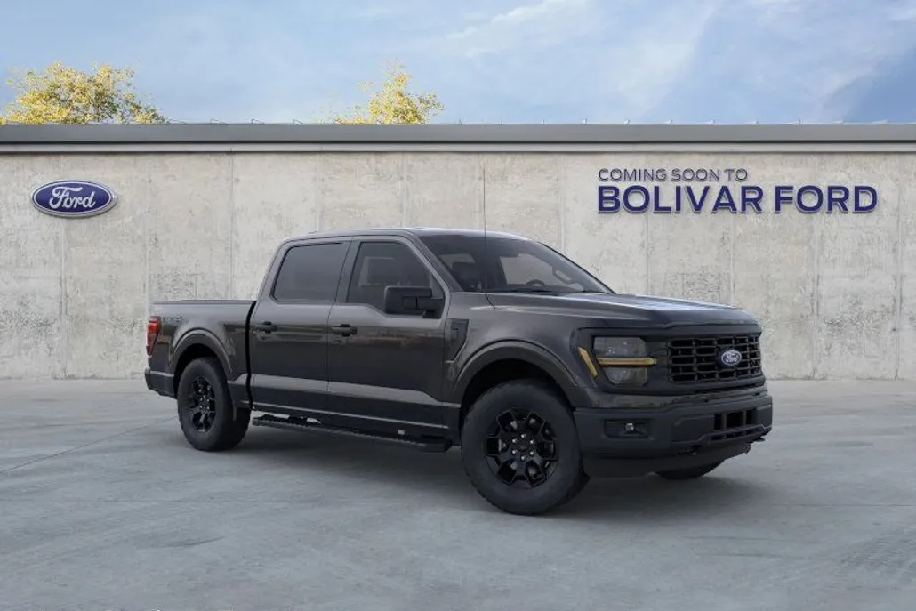 2025 Ford F-150 STX photo 1