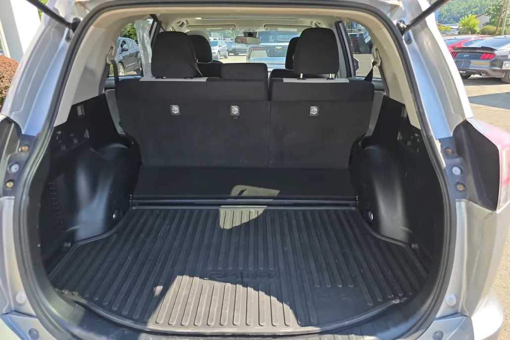 2018 Toyota RAV4 LE photo 1