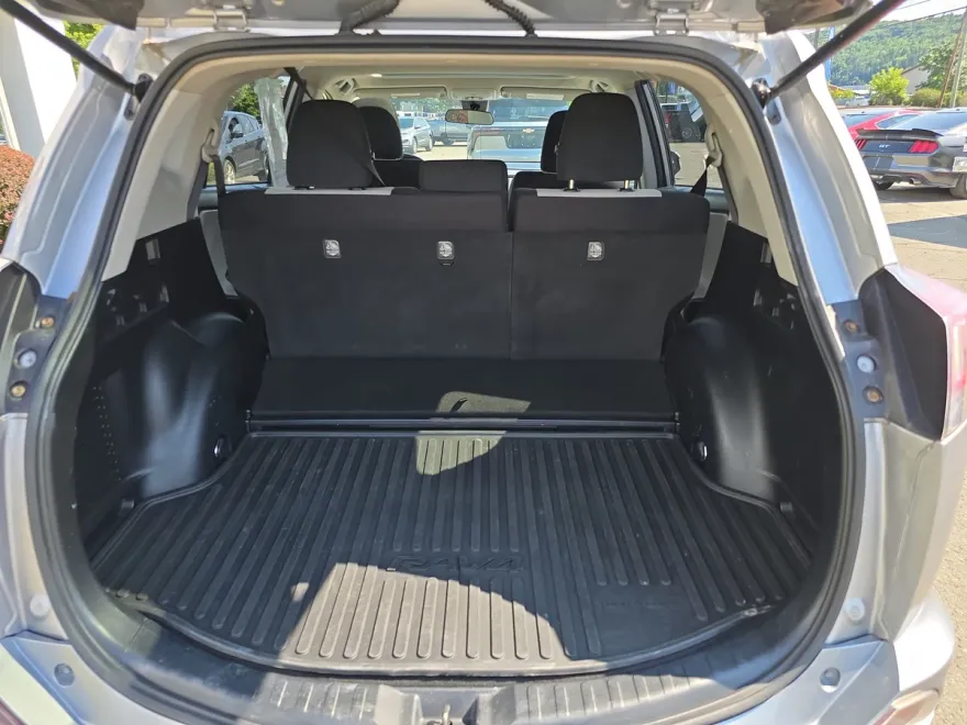 2018 Toyota RAV4 LE photo 1