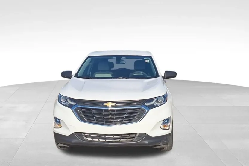 2019 Chevrolet Equinox LS photo 1
