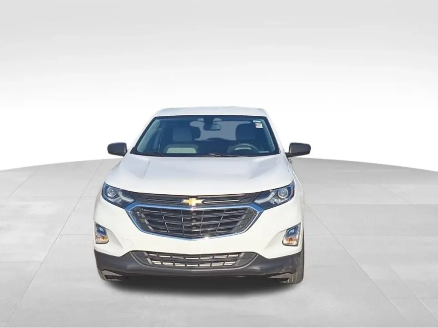 2019 Chevrolet Equinox LS photo 1