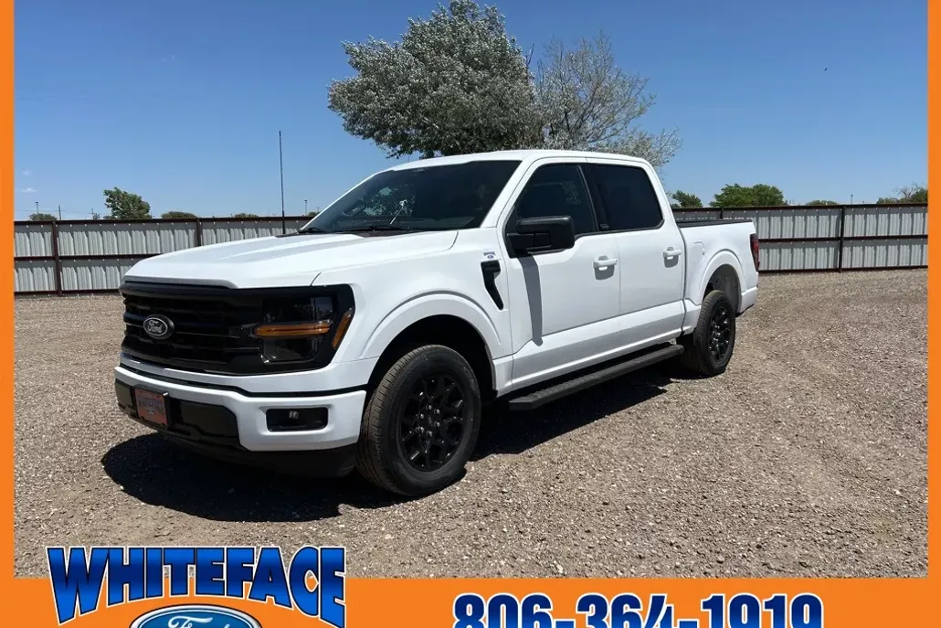 2025 Ford F-150 XLT photo 1