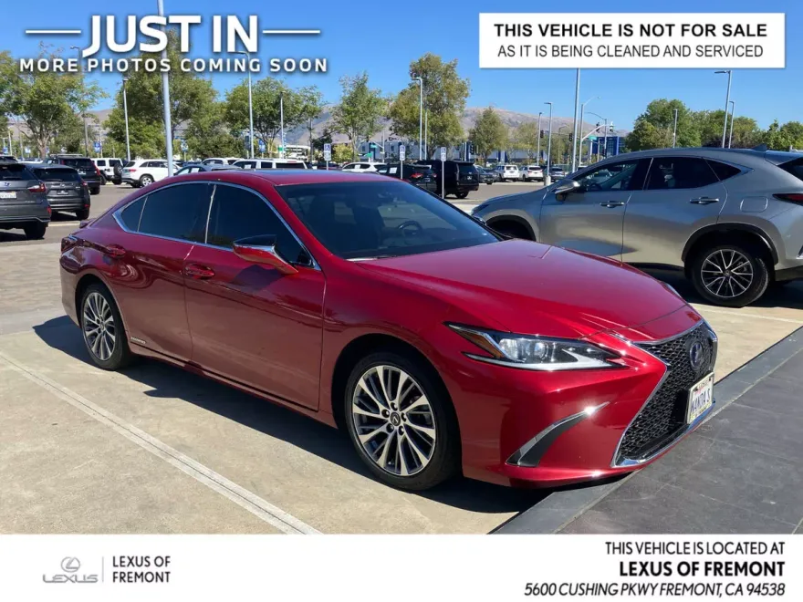 2019 Lexus ES 300h photo 1