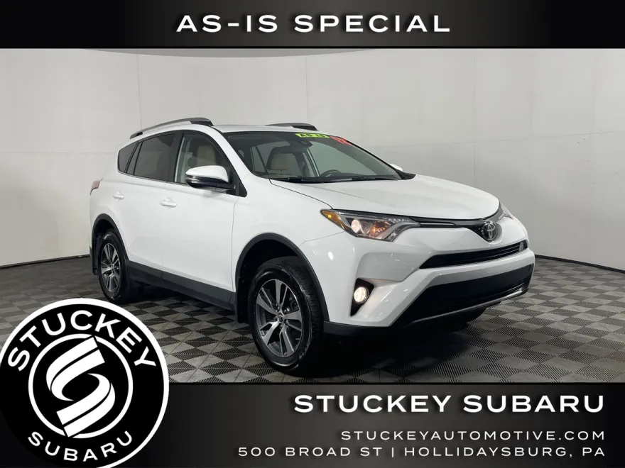 2018 Toyota RAV4 XLE photo 1