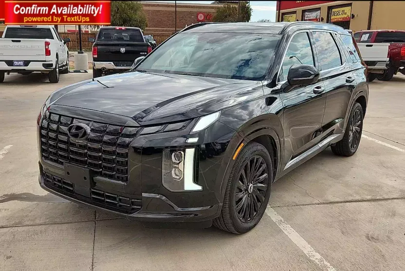2024 Hyundai Palisade Calligraphy photo 1
