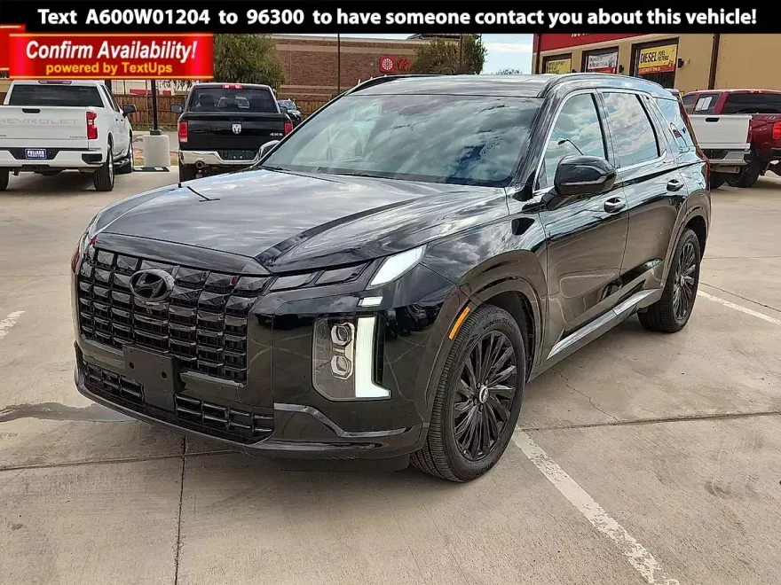 2024 Hyundai Palisade Calligraphy photo 1