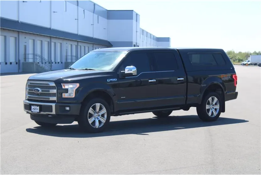 2015 Ford F-150 photo 1