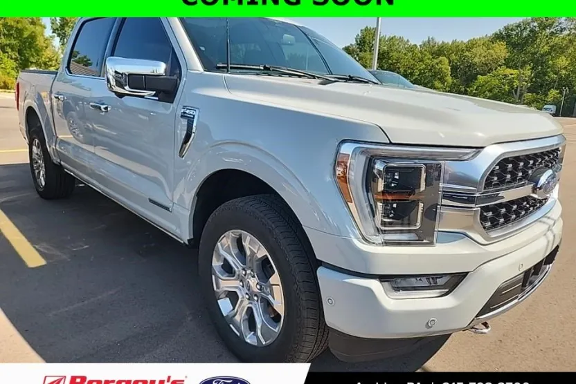 2023 Ford F-150 Platinum FX4 photo 1