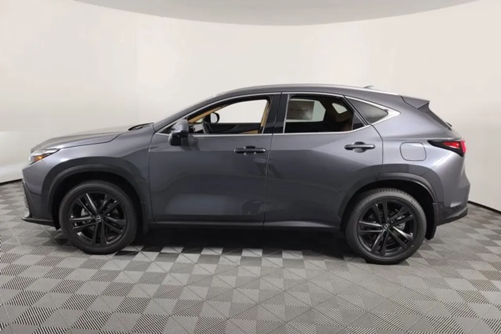 2025 Lexus NX 450h+ Luxury photo 1