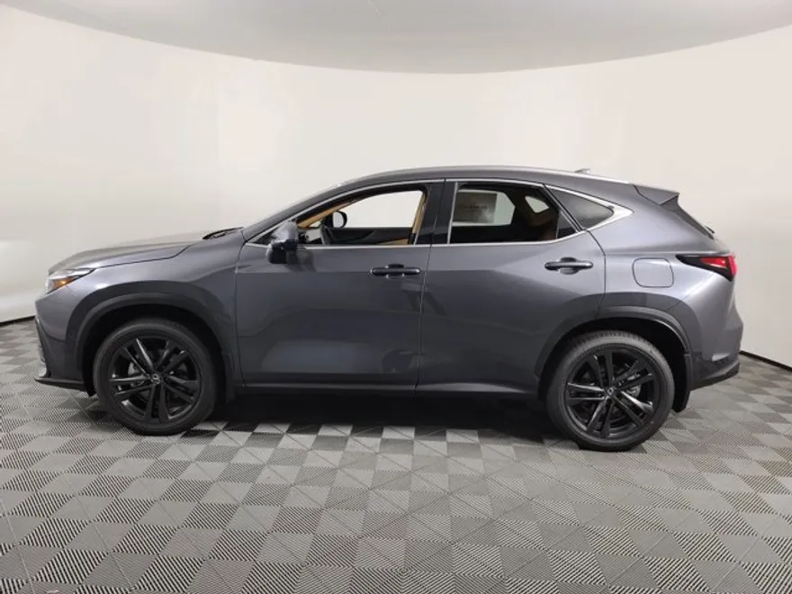2025 Lexus NX 450h+ Luxury photo 1